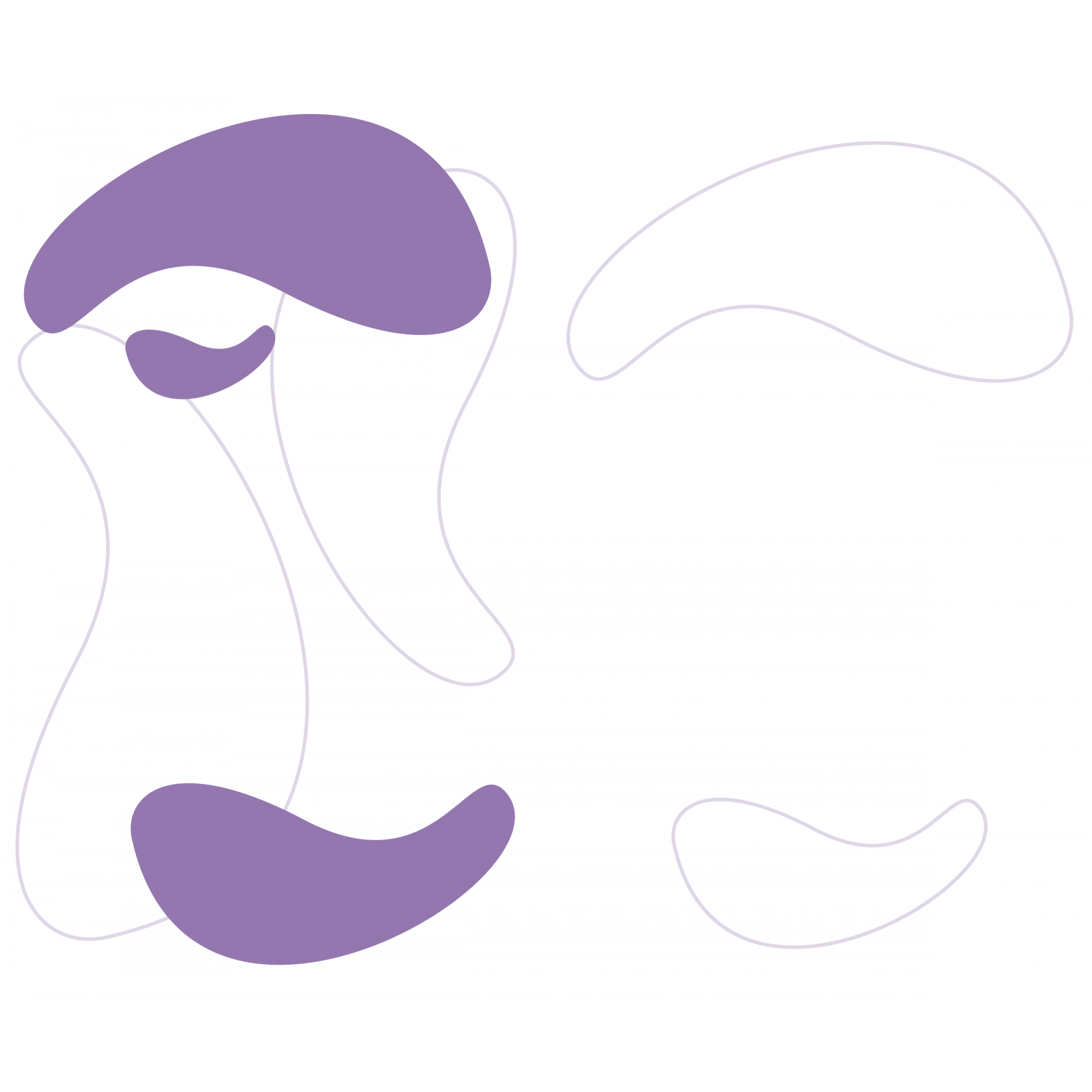 Modelo 04 - Frasco Dubai 15ml (frente e verso)